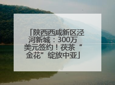 陕西西咸新区泾河新城：300万美元签约！茯茶“金花”绽放中亚